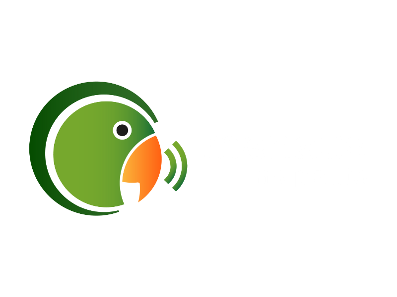 Manaus Na Pauta