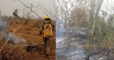 Amazônia em alerta: setembro registra mais de 10 mil focos de queimadas