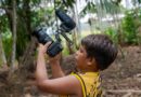 Com o apoio do Governo do Amazonas, evento aborda biodiversidade amazônica para alunos da educação básica, em Tefé