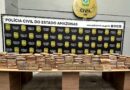PC-AM apreende 150 quilos maconha tipo skunk em casa na comunidade Grande Vitória