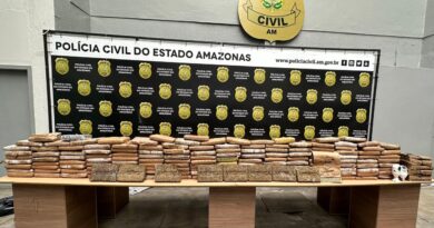 PC-AM apreende 150 quilos maconha tipo skunk em casa na comunidade Grande Vitória