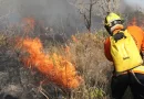 Projeto em tramitação no Congresso Nacional facilita ajuda em desastres climáticos e combate a incêndios florestais