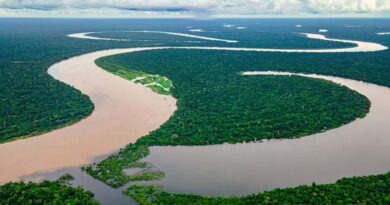 O avesso do esplendor: desafios do desenvolvimento amazônico