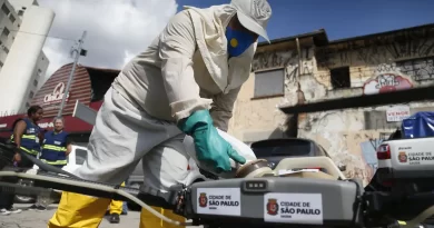 SÃO PAULO (SP): município registra quase 49,9 mil casos e 10 mortes por dengue em 2025