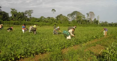 Crédito verde e agricultura familiar: Banco da Amazônia amplia apoio com R$ 2,5 bilhões em 2025
