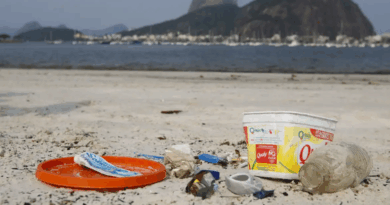 Dia Mundial do Meio Ambiente alerta para urgência do fim da poluição plástica