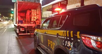 PRF apreende mais de 5 toneladas de maconha escondidas em carga de filé de tilápia em SP