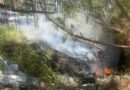 Guarda Municipal realiza resgate de ave silvestre e combate a foco de incêndio nas zonas Sul e Leste de Manaus