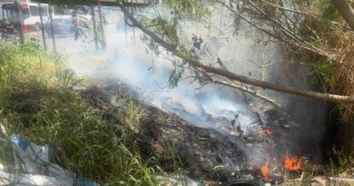 Guarda Municipal realiza resgate de ave silvestre e combate a foco de incêndio nas zonas Sul e Leste de Manaus