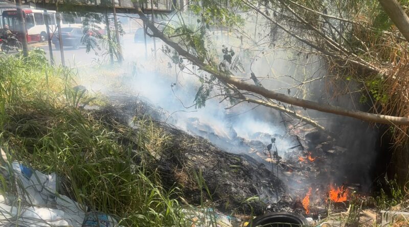 Guarda Municipal realiza resgate de ave silvestre e combate a foco de incêndio nas zonas Sul e Leste de Manaus