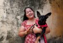 Prefeitura de Manaus alerta convocados no PSS da vacinação antirrábica animal da Semsa para o prazo final do processo