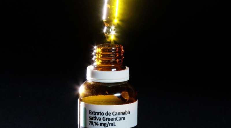 Autorizações para importação de cannabis aumentam 29% em 2026