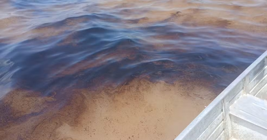 Óleo vaza de embarcação no Rio Amazonas e forma mancha em frente a Itacoatiara