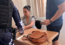Mulher é presa suspeita de aplicar golpes contra cerca de 20 vítimas em Manaus