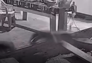 VÍDEO: onça invade propriedade, mata um cachorro e fere outro no AM